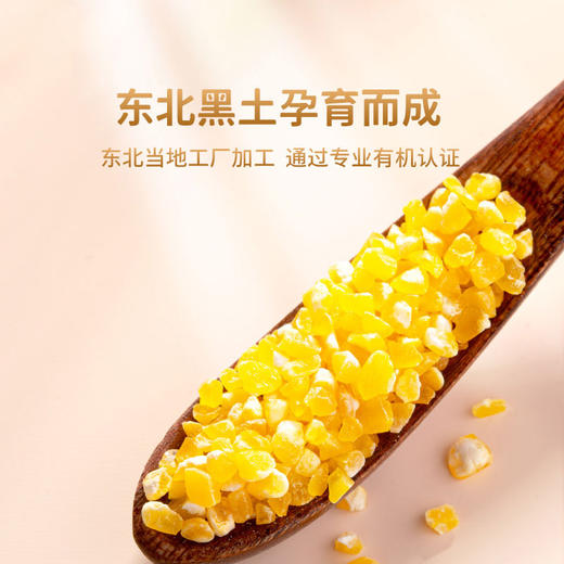 果然生机 道地有机玉米碴380g/袋 商品图1