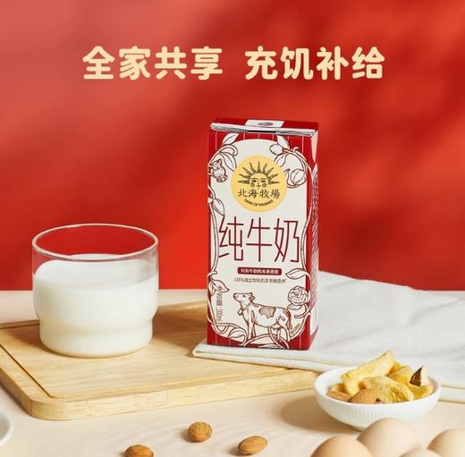 【特惠】北海牧场纯牛奶原味200ml*10 商品图0