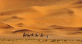 领队游记｜走在撒哈拉的一千零一夜 