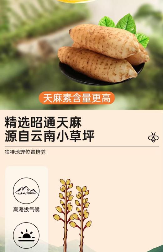 云南天麻蜜片 商品图3