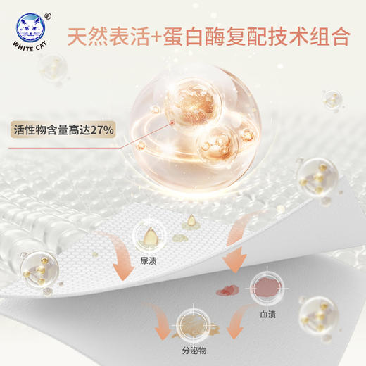 白猫 植萃香氛内衣洗衣液 无荧光剂 低泡速漂 温和抑菌99% 贴身衣物专用 240ml 商品图3