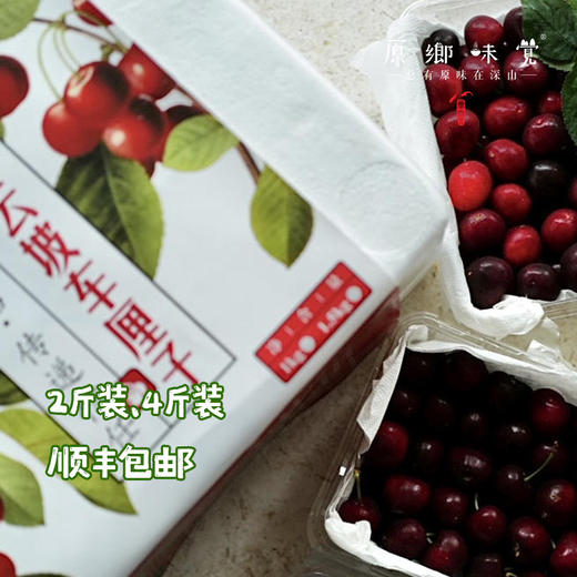 小金生态车厘子（基地直发-顺丰包邮） | 来自川西小金，生产者：牧云坡可信小组【合作生产，公平贸易】 商品图4