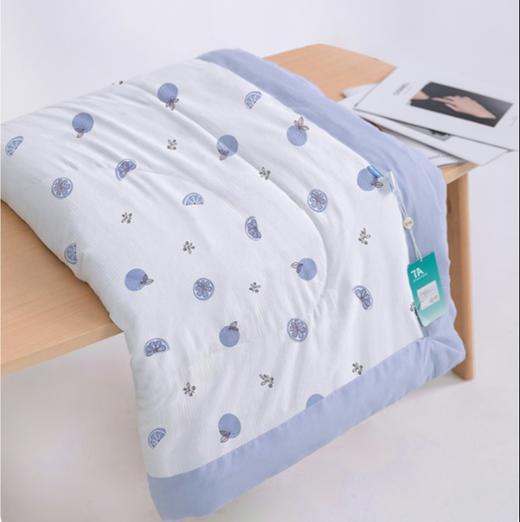 贝彤5A抗菌元气被芯成人被Cb1988蓝色200*230cm 商品图8