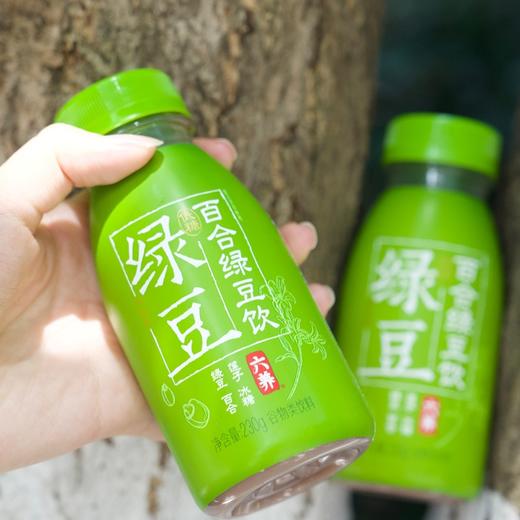 【斌哥优选】六养百合绿豆汁，免熬免煮，甄选食材，配料表巨干净，解烦热，清爽回甘。暑天灭火器，夏日首选饮品！ 商品图4