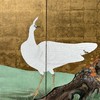 独角鹿西洋古董 19世纪日本江户时代出品「白羽孔雀」主题金地纸本设色六曲屏风 商品缩略图5