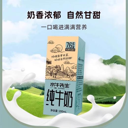 皇氏水牛先生纯牛奶 吃菠萝甘蔗 奶味自然甘甜 商品图1