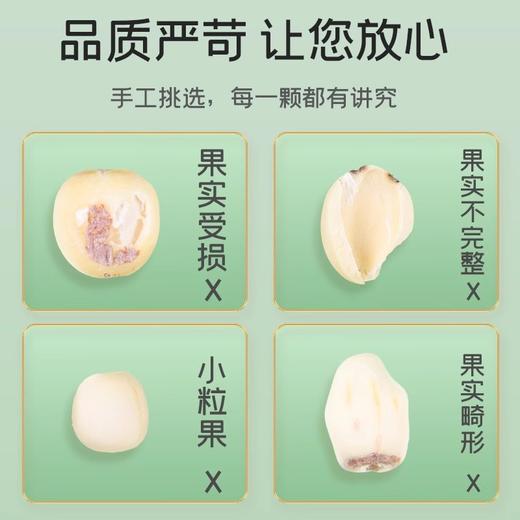 【特惠】富昌莲子100g/袋 商品图2