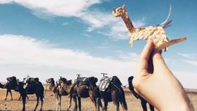 游记攻略｜最美的年纪，遇见摩洛哥和撒哈拉 