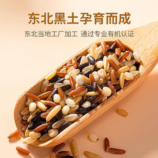 果然生机 道地有机五色糙米400g/袋 商品图1