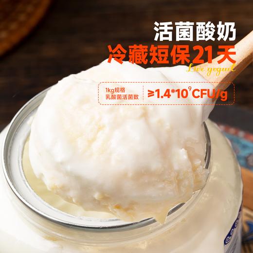 热卖！！【嚼着吃的活菌鲜酸奶】京东包邮现做现发 百分百牛乳厚奶皮子酸奶 内蒙古之光 非干噎冷萃酸奶 72小时发货 商品图2