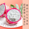 白心火龙果 口味清香甜润 鲜嫩多汁水 红皮白瓤 富含膳食纤维  一口停不下来 商品缩略图0