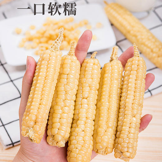 西双版纳拇指小糯玉米4斤 源头直发 商品图5