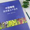 中国葡萄高质量生产技术【官方正版，可开发票】 商品缩略图1