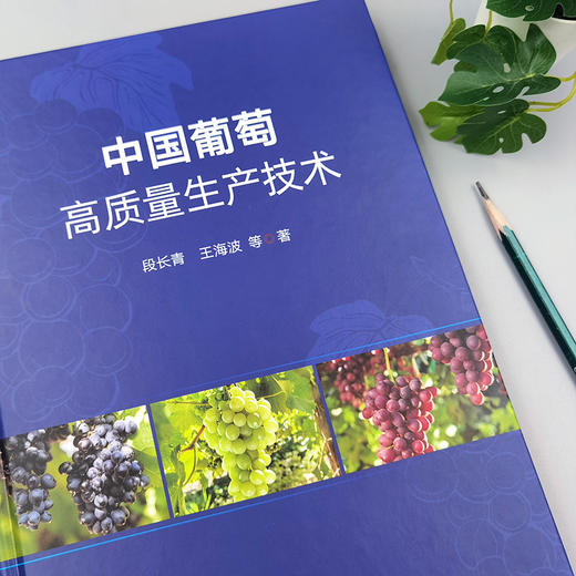 中国葡萄高质量生产技术【官方正版，可开发票】 商品图1