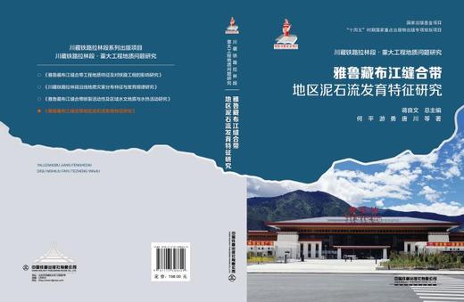 308629雅鲁藏布江缝合带地区泥石流发育特征研究 商品图1