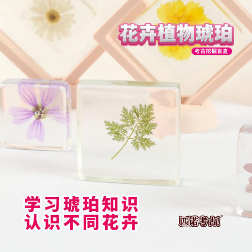 【琥珀昆虫精灵+花卉植物琥珀】匹诺考古挖掘琥珀昆虫精灵玩具考古挖掘宝石琥珀探索寻宝手工玩具 商品图5