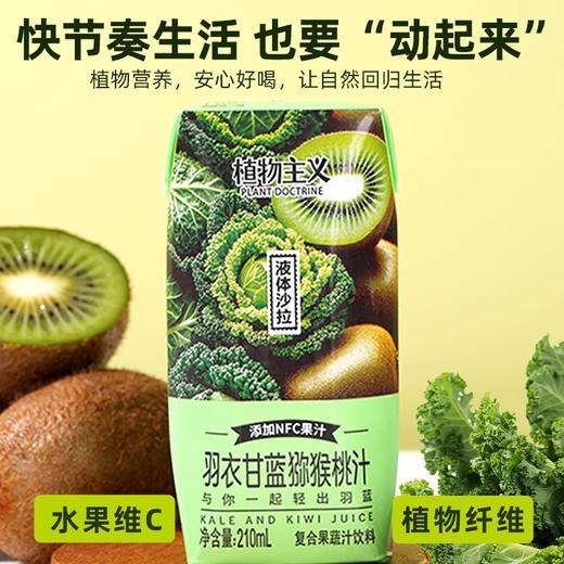 【特惠】植物主义羽衣甘蓝猕猴桃汁210ml*12 商品图5