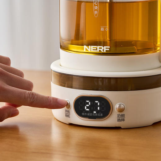 NERF拉尔弗花茶壶养生壶煮茶器RC-Z815D1 商品图2