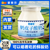 热卖！！【嚼着吃的活菌鲜酸奶】京东包邮现做现发 百分百牛乳厚奶皮子酸奶 内蒙古之光 非干噎冷萃酸奶 72小时发货 商品缩略图1