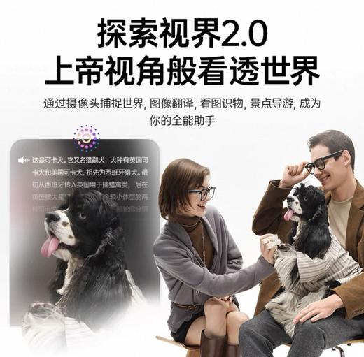 【限量现货】雷鸟V3 slim AI拍摄智能眼镜 商品图4