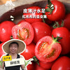 生态圣女果（福建）| 合作生产*  Ecological tomato | Partner Production 商品缩略图0