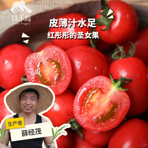 生态圣女果（福建）| 合作生产*  Ecological tomato | Partner Production 商品图0