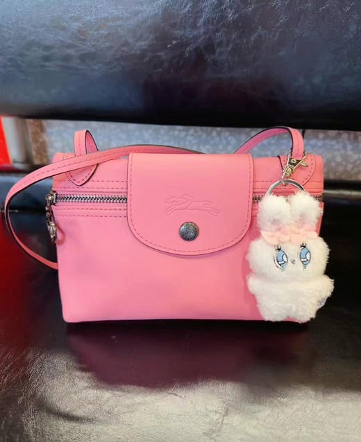 Longchamp龙骥绝版麻将包 好折¥1980到手 芭比粉&橘红色 商品图3