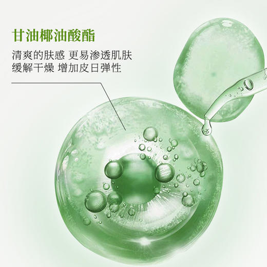 山茶花泡沫洗手液清洁护手持久留香大容量按压洗手液 商品图2