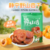 【静宁馆】  静宁野山杏干   高原野山杏  168g/袋 商品缩略图0