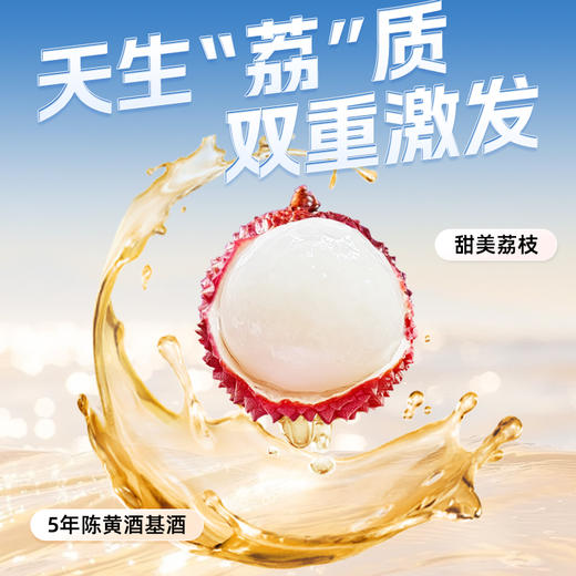 会稽山气泡黄酒荔枝味易拉罐装330ml*12 商品图2