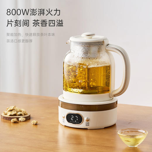 NERF拉尔弗花茶壶养生壶煮茶器RC-Z815D1 商品图3