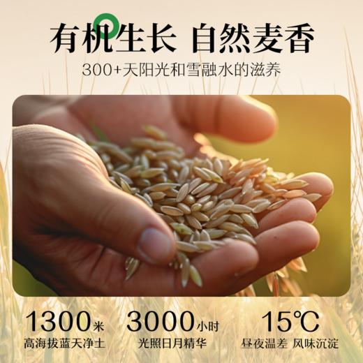 巨香九延有机面260g 商品图2