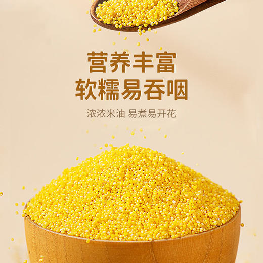 果然生机 道地有机黄小米400g/袋 商品图2