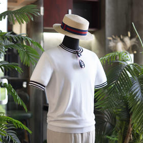 25新款 男士桑蚕丝/莱赛尔/棉 运动风POLO衫/圆领T恤   多色可选