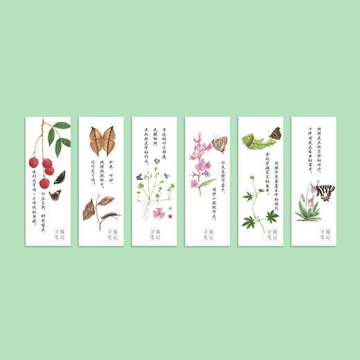 《寻蝶笔记——发现身边的蝴蝶家园》 商品图13