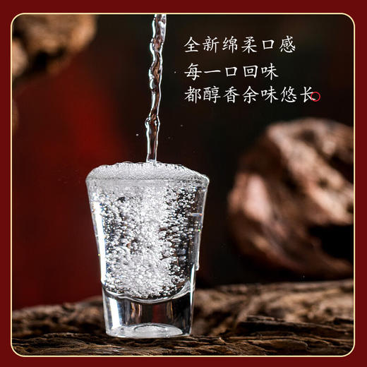 52度诗春秋风雅颂典之雅浓香型白酒500ml*6 商品图3