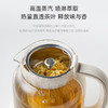 NERF拉尔弗花茶壶养生壶煮茶器RC-Z815D1 商品缩略图1