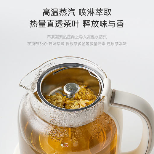 NERF拉尔弗花茶壶养生壶煮茶器RC-Z815D1 商品图1