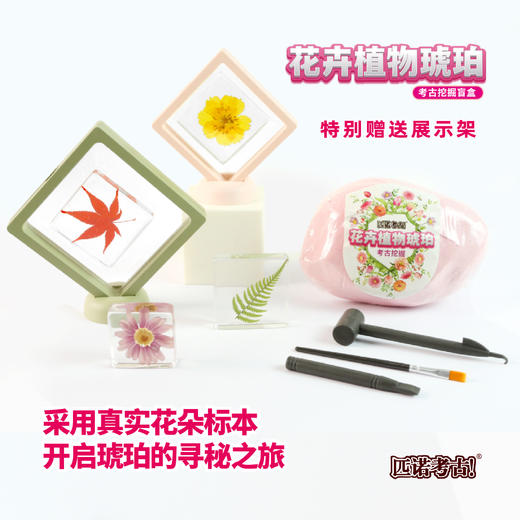 【琥珀昆虫精灵+花卉植物琥珀】匹诺考古挖掘琥珀昆虫精灵玩具考古挖掘宝石琥珀探索寻宝手工玩具 商品图8