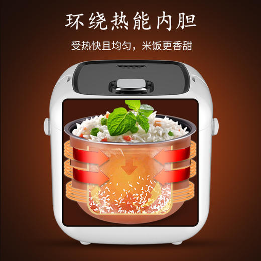 美国nerf拉尔弗电饭煲2L家用迷你电饭煲宿舍蒸饭锅YD-268A 商品图4