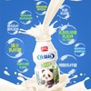 盼盼在益起乳酸菌饮品熊猫版100ml*4瓶*3板/打 商品缩略图1