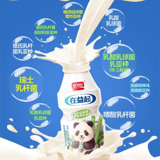 盼盼在益起乳酸菌饮品熊猫版100ml*4瓶*3板/打 商品图1