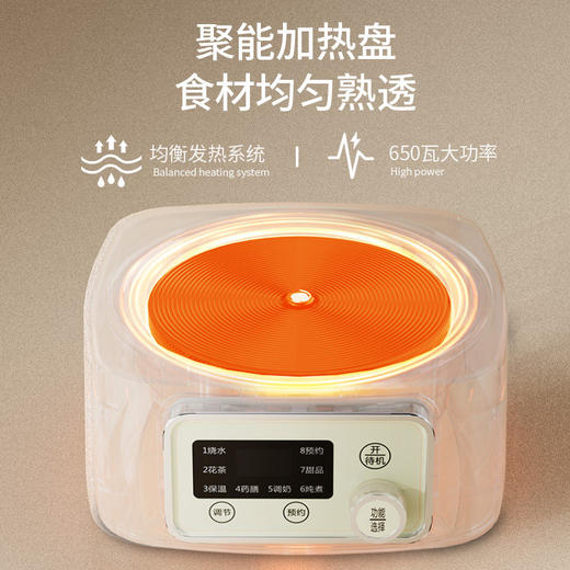 NERF花茶壶煮蛋器BC-H10X 商品图5