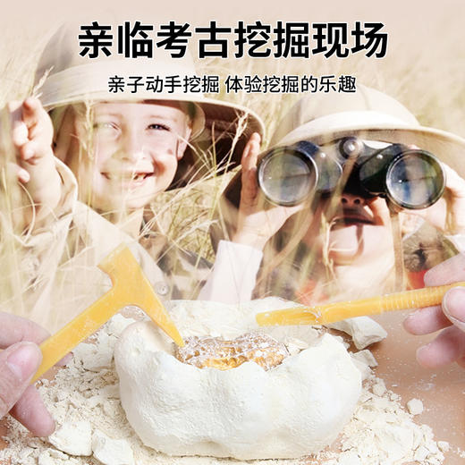 【一块发财土】匹诺挖掘发财土考古挖掘大元宝儿童玩具 商品图3