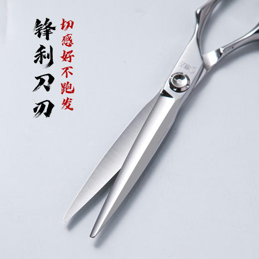 雅正专业美发工具大刀6.2综合剪VG10钢材美发剪刀 商品图1