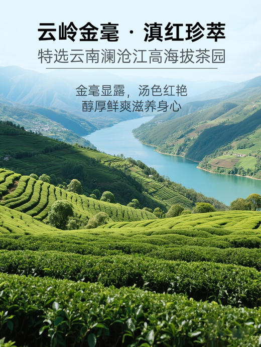 芊芳源玫瑰桂花茉莉花双味红茶冷泡茶包独立小包装袋夏季冷萃果茶 商品图1