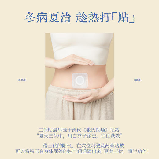 真不二深山奥秘成人三伏贴 商品图2