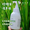 柠檬草洗手液（成都仓库-顺丰快递 ） ｜300ml/瓶，来自广东中山，生产者：旗溪【合作生产，公平贸易】 商品缩略图0