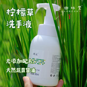 柠檬草洗手液（成都仓库-顺丰快递 ） ｜300ml/瓶，来自广东中山，生产者：旗溪【合作生产，公平贸易】