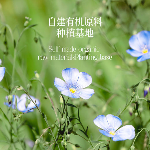 晟麦有机亚麻籽油250ml低温冷榨亚麻酸55%植物营养小瓶油 商品图4